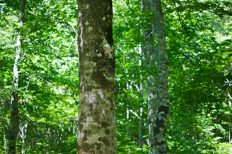楽しく温暖化対策を