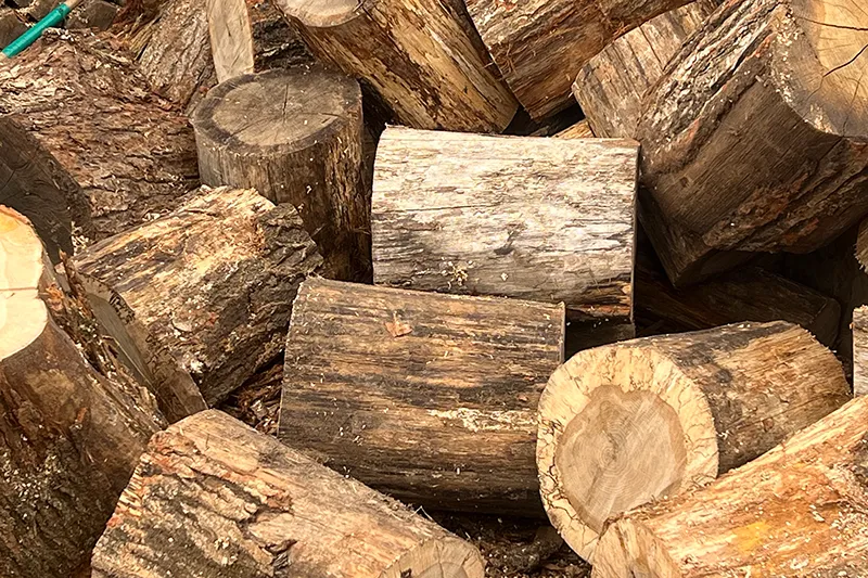 楽しく温暖化対策を