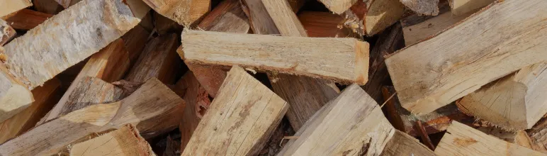 ストーブリーグ会員の方はこちらにどうぞ