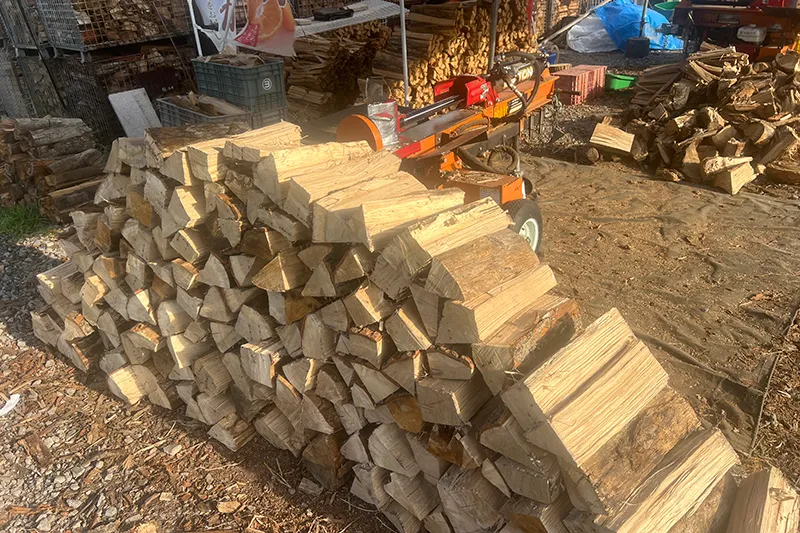 炎は森の贈り物