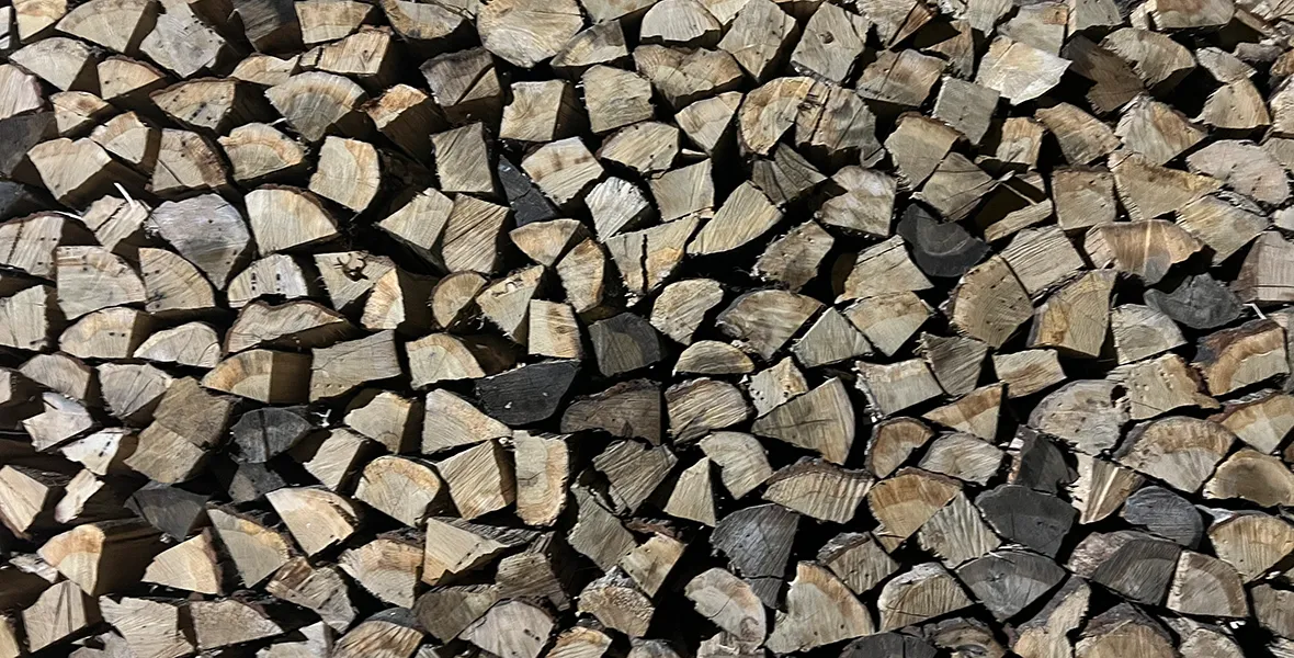 森は町とともに