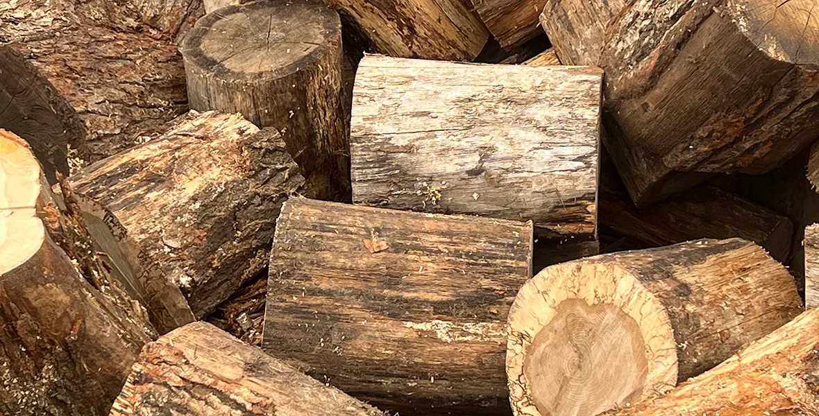 玉切り丸太（薪のDIY用）