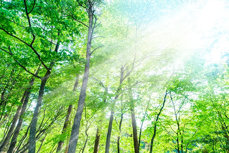 資源大国・日本