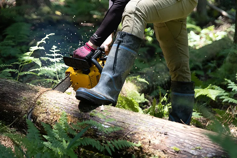 林業の人手不足と担い手問題