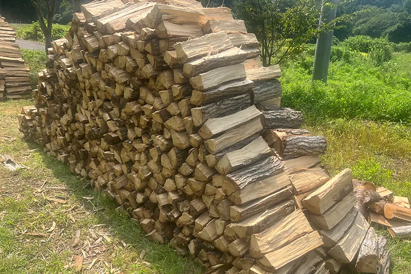 広葉樹伐採と里山の現実